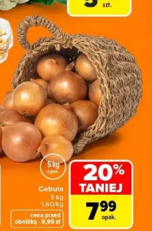 Cebula