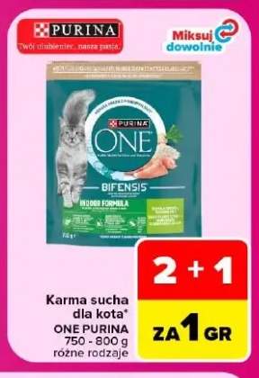 Karma sucha dla kota One Purina