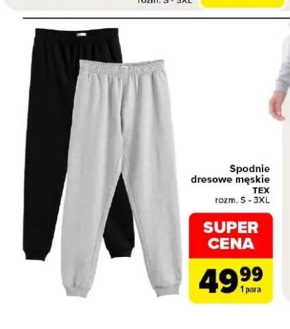 Spodnie dresowe męskie TEX