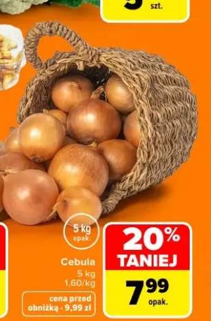 Cebula