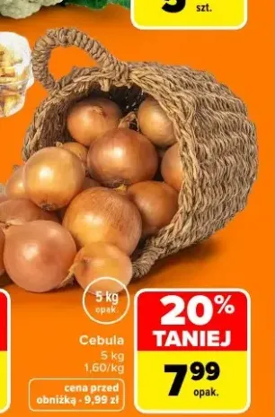 Cebula