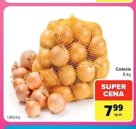 Cebula