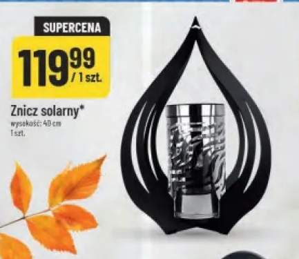 znicz solarny