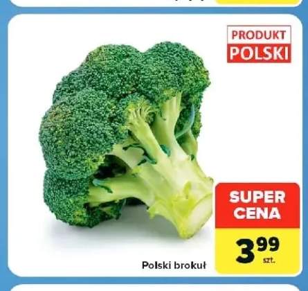 Brokuł polski