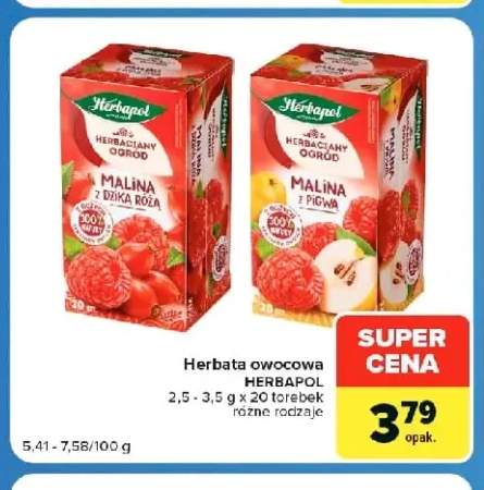 Herbata owocowa Herbaciany Ogród malina z dziką różą Herbapol +1 wariant