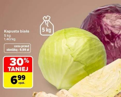 Kapusta biała