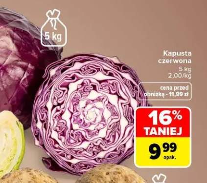 Kapusta czerwona