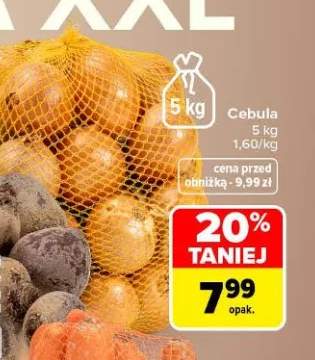 Cebula