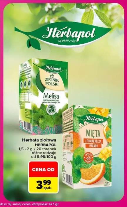 Herbata ziołowa Zielnik Polski melisa Herbapol +1 wariant