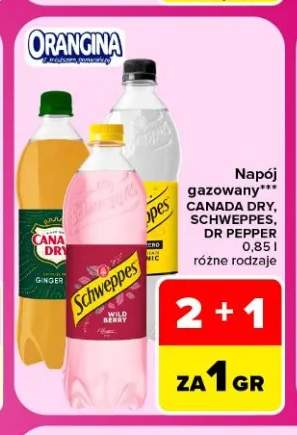 Napój gazowany Canada Dry +3 warianty