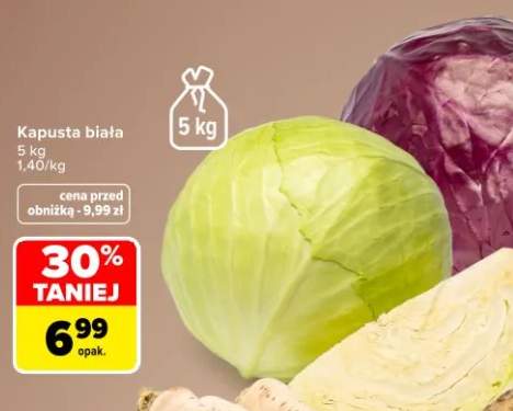 Kapusta biała