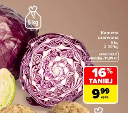 Kapusta czerwona