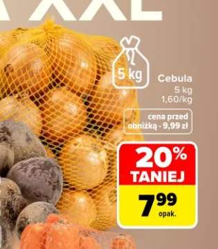 Cebula