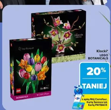 Klocki Lego Botanicals