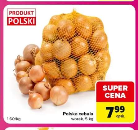Cebula polska