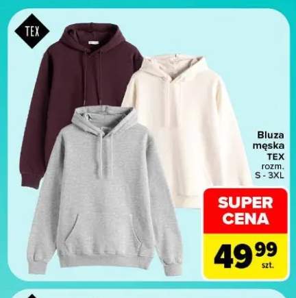 Bluza męska TEX