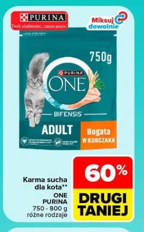 Karma sucha dla kota Purina ONE