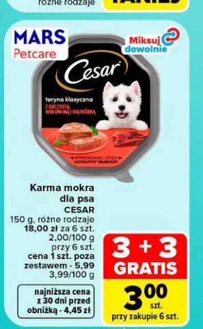 Karma mokra dla psa Cesar