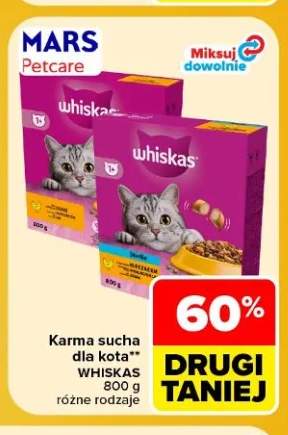 Karma sucha dla kota Whiskas