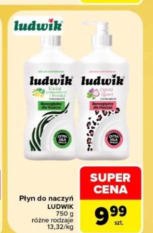 Płyn do naczyń Ludwik